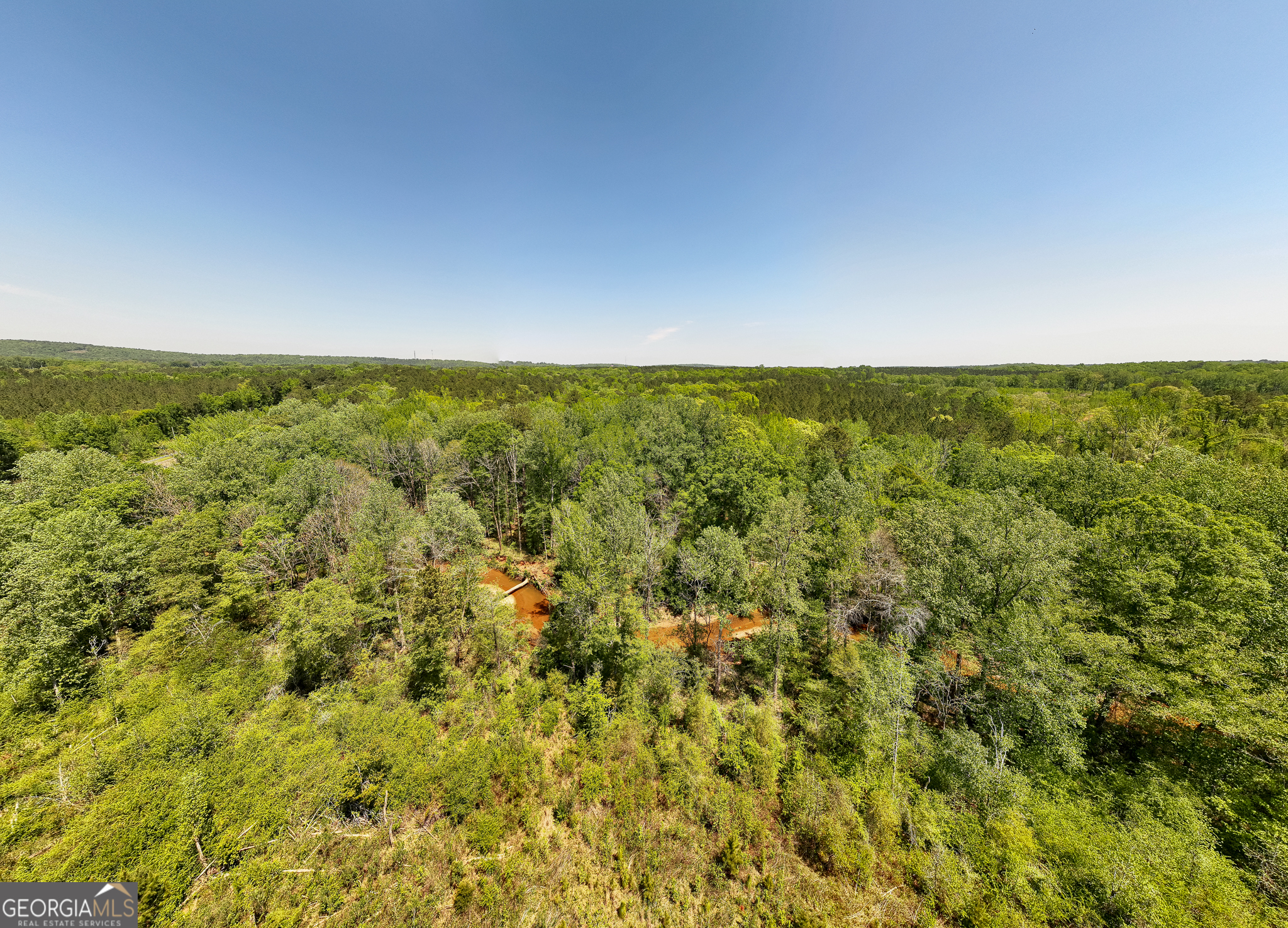 324-acres Hunsinger Road Shiloh, GA 31826 - Photo 12 of 62