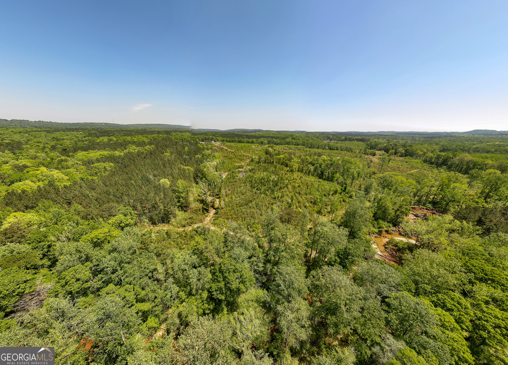 324-acres Hunsinger Road Shiloh, GA 31826 - Photo 13 of 62 a view of a field with an ocean
