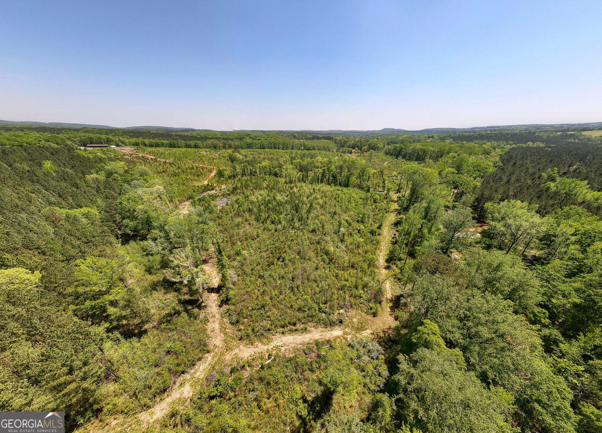 324-acres Hunsinger Road Shiloh, GA 31826 - Photo 15 of 62