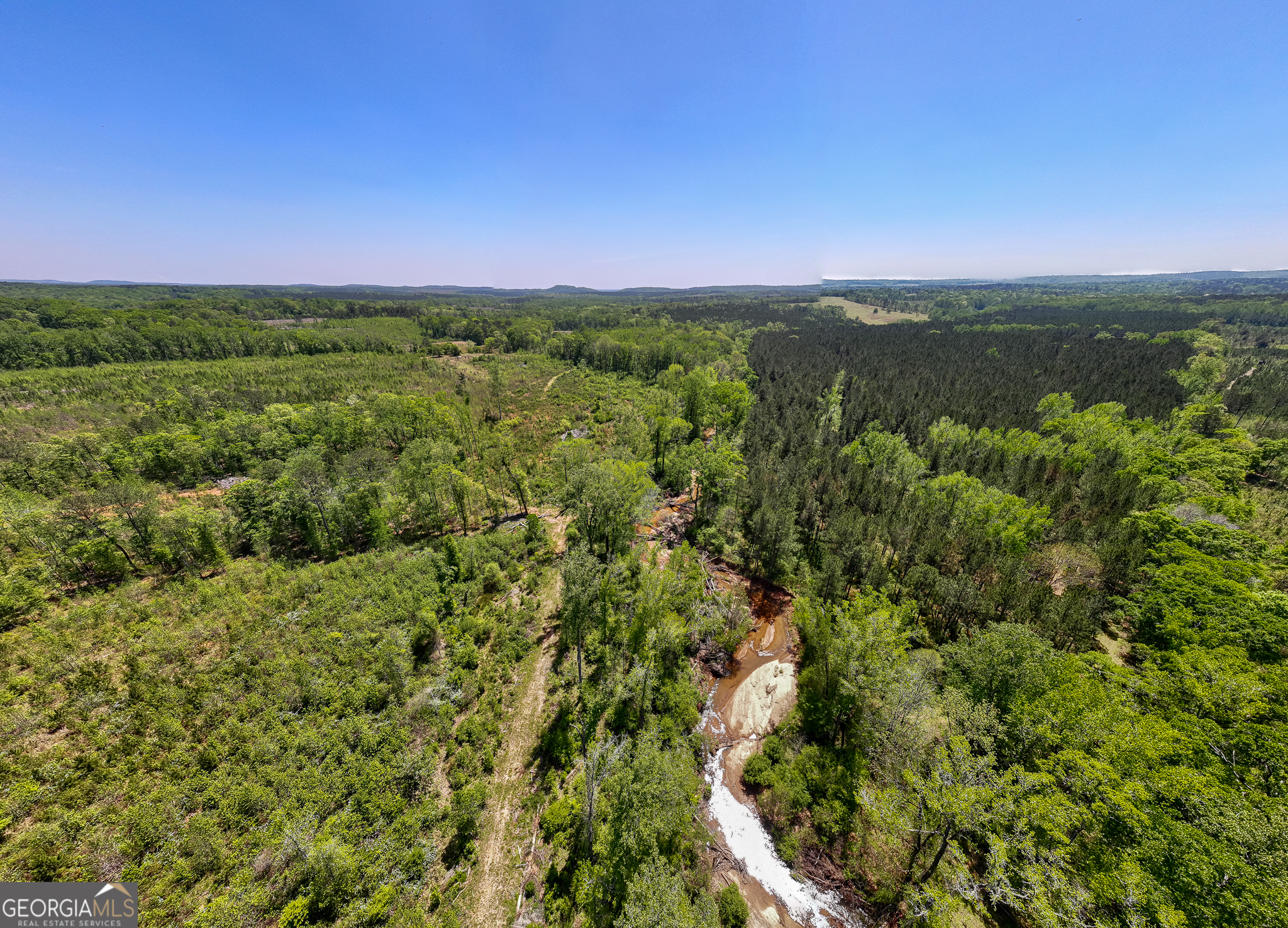 324-acres Hunsinger Road Shiloh, GA 31826 - Photo 16 of 62