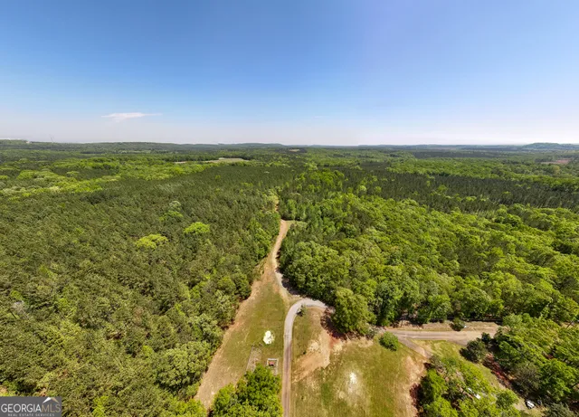 a view of a green field with lots of bushes
