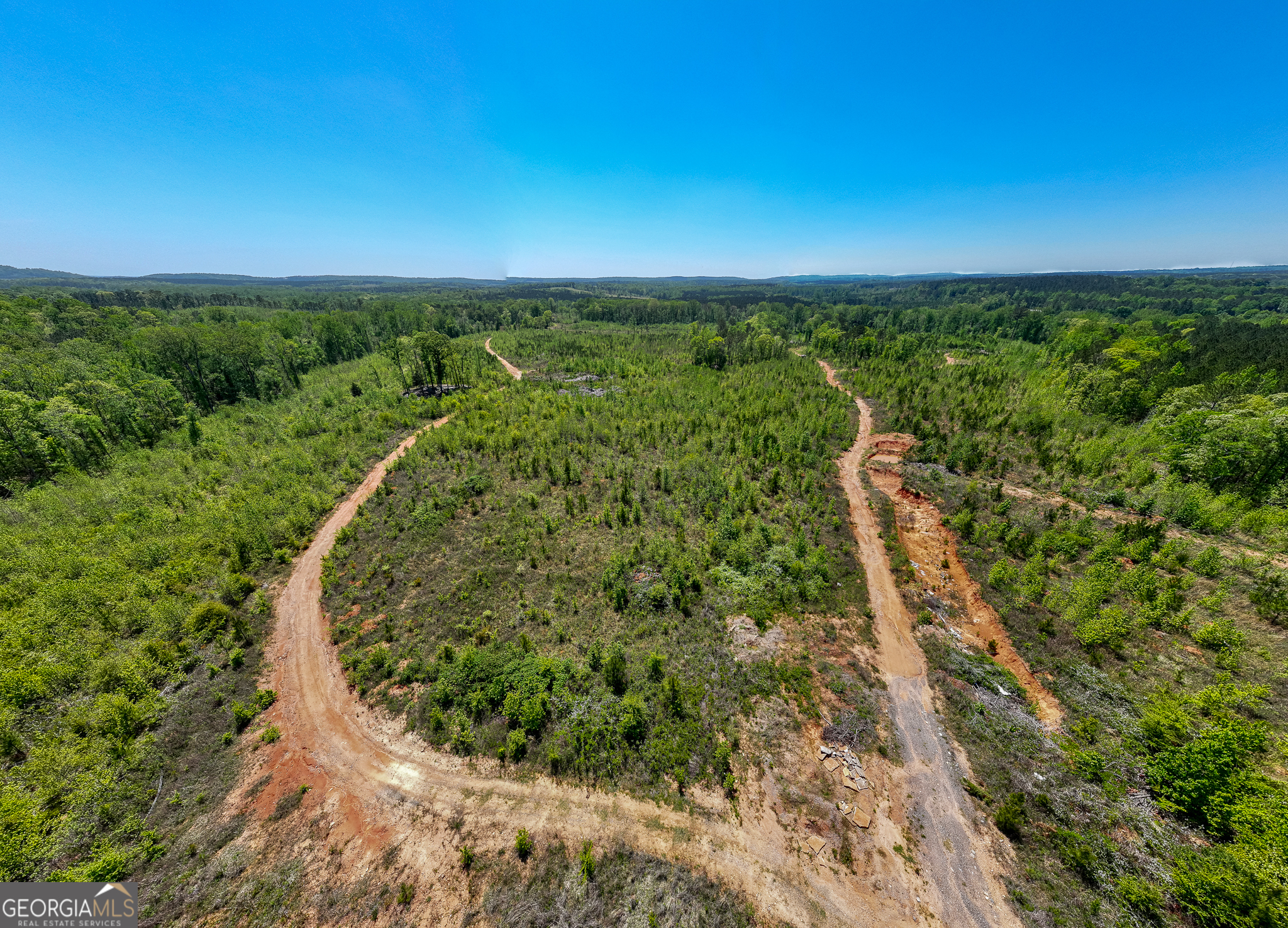 324-acres Hunsinger Road Shiloh, GA 31826 - Photo 23 of 62 a view of a yard with a garden