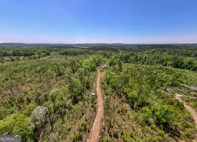 a view of a house with a yard and potted plants