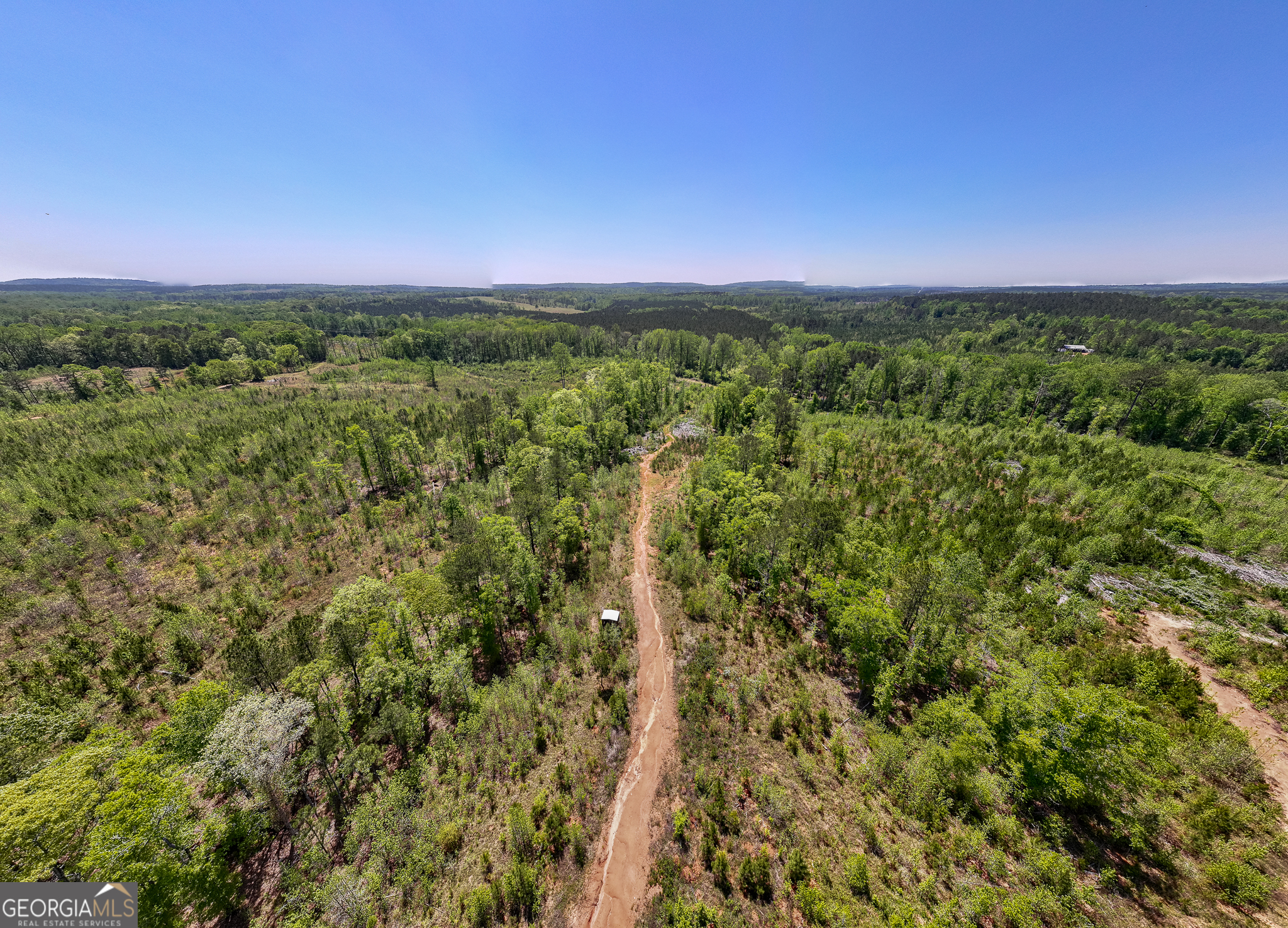 324-acres Hunsinger Road Shiloh, GA 31826 - Photo 25 of 62 a view of a field with a tree in the background