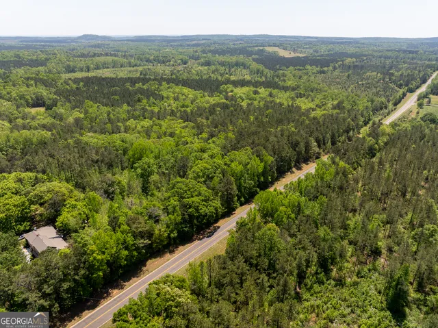 a view of a lush green forest with trees and some houses