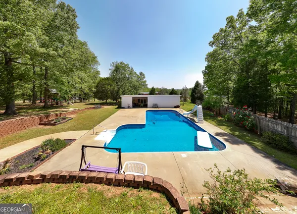 a view of a yard with plants and large trees