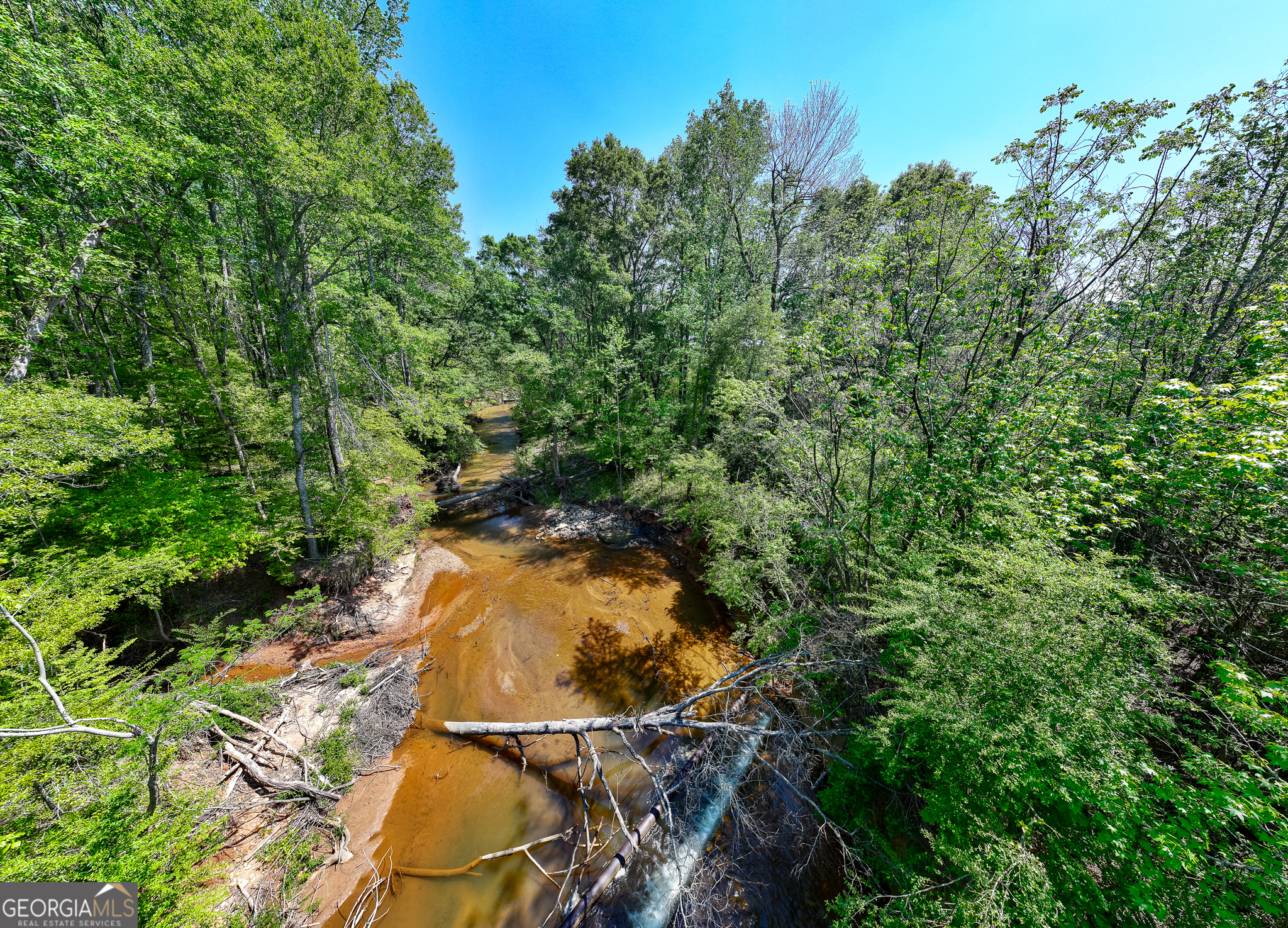 324-acres Hunsinger Road Shiloh, GA 31826 - Photo 61 of 62 a view of an outdoor space