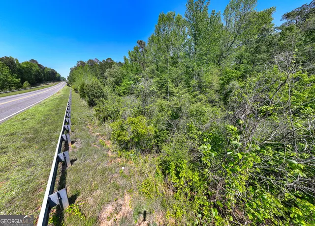$3,250,000 | 324-acres Hunsinger Road, Shiloh, GA 31826