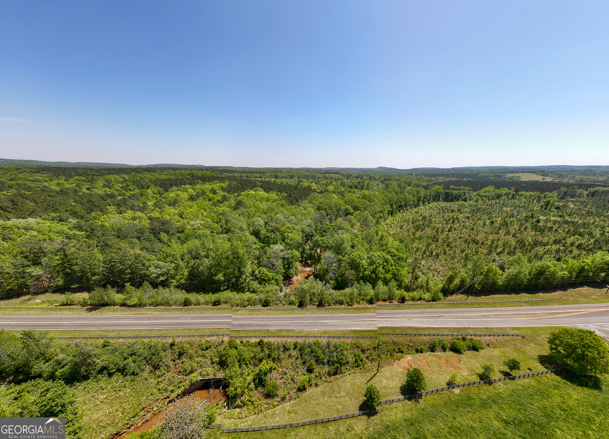 324-acres Hunsinger Road Shiloh, GA 31826 - Photo 10 of 62