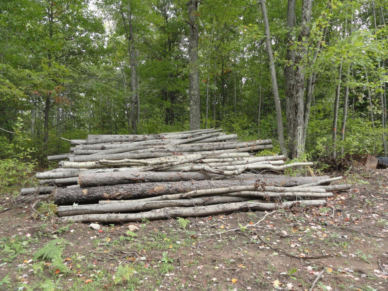 Lot 16 Pfeifer Road Tomahawk, WI 54487 - Photo 2 of 24 Gallery Image 2