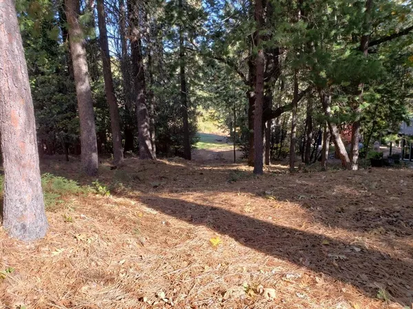 a view of outdoor space with trees