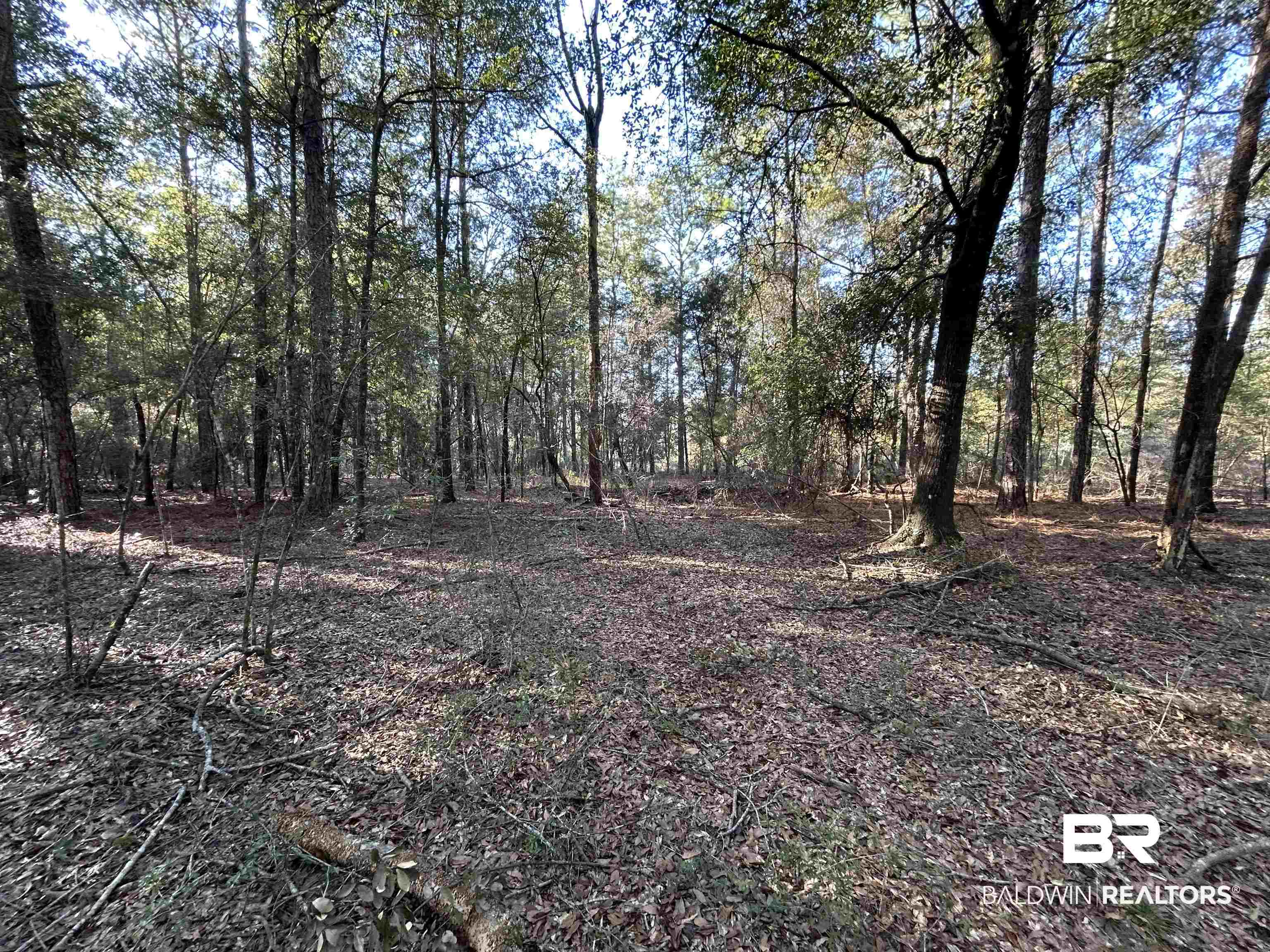 9550 A Sand Ridge Road Citronelle, AL 36522 - Photo 6 of 16 View of landscape