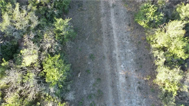 a view of a plants of a house