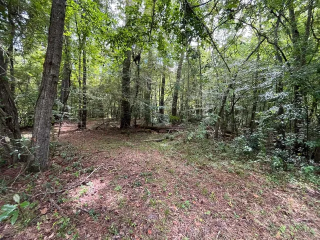 $28,000 | X Jetty Avenue, Quincy, FL 32351