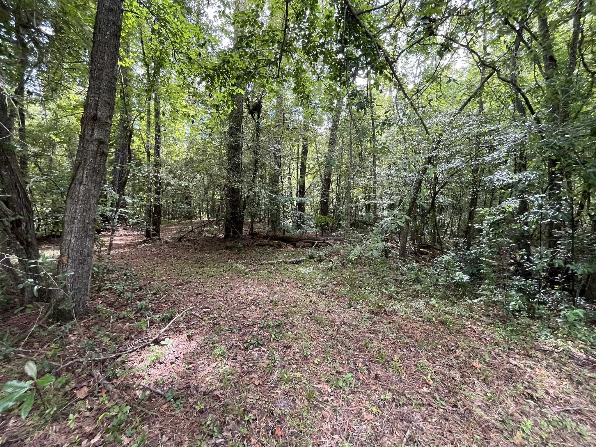 X Jetty Avenue Quincy, FL 32351 - Photo 4 of 7