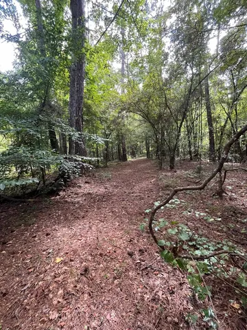 $28,000 | X Jetty Avenue, Quincy, FL 32351