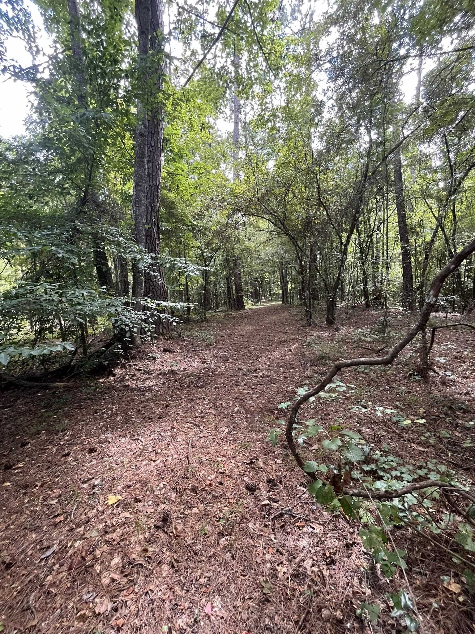 X Jetty Avenue Quincy, FL 32351 - Photo 5 of 7