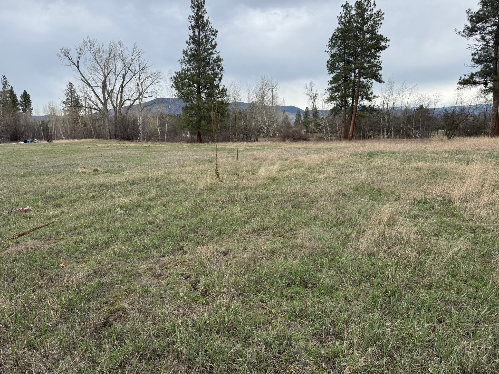 Two 2 Moons Road Florence, MT 59833 - Photo 14 of 15 Gallery Image 14