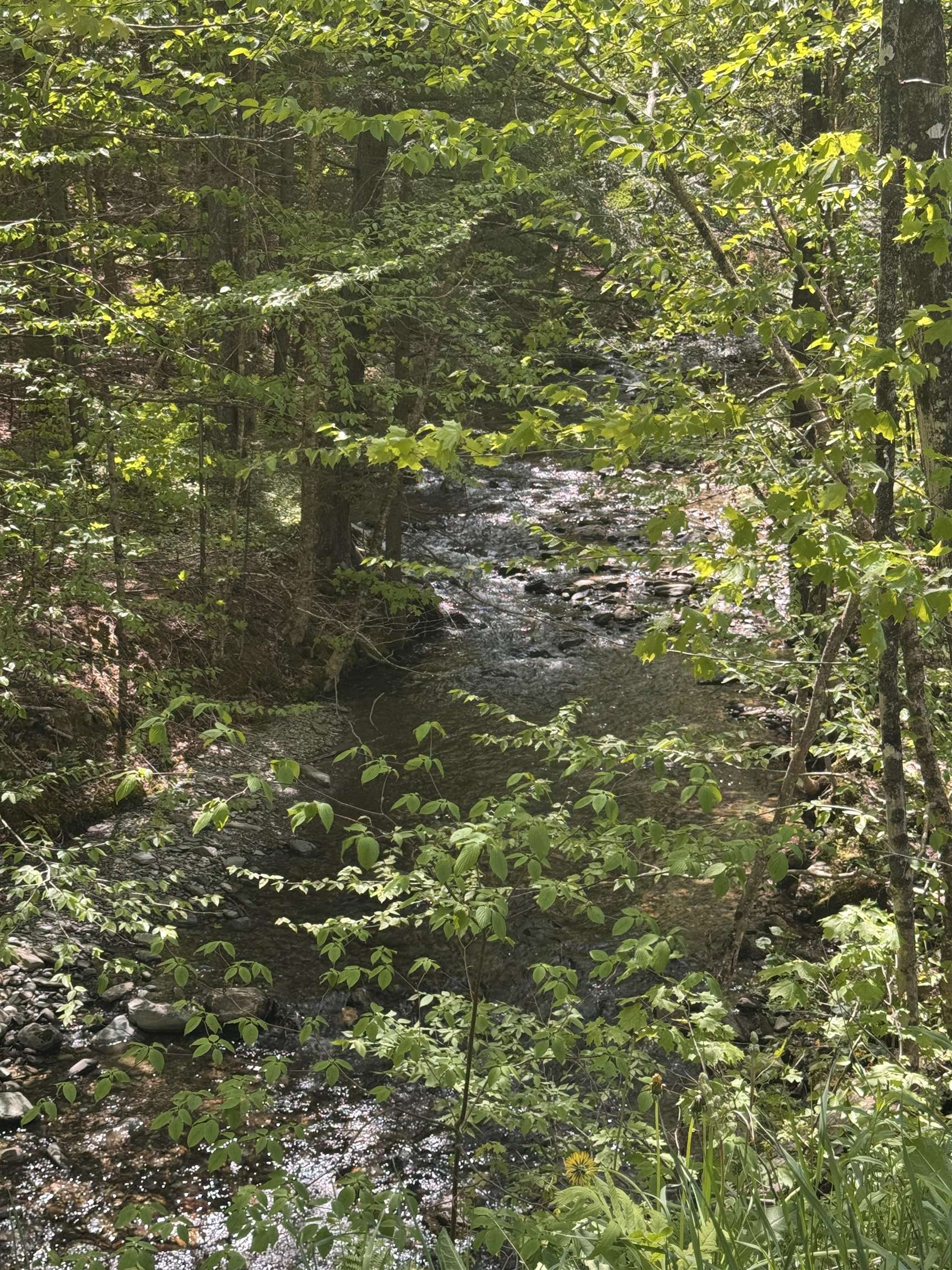 2113 Stony Brook Road Northfield, VT 05663 - Photo 58 of 60