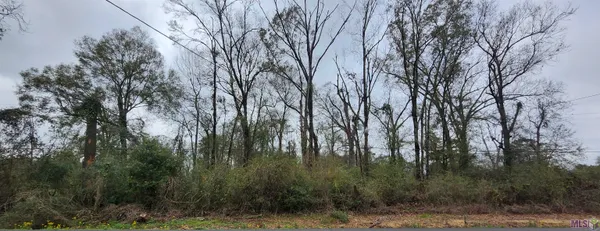 $205,000 | Tbd North Stevendale Road, Baton Rouge, LA 70819