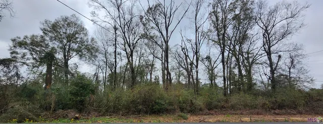 $205,000 | Tbd North Stevendale Road, Baton Rouge, LA 70819