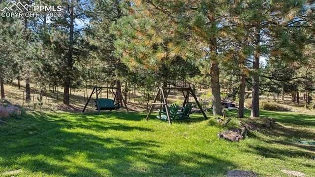 a view of a backyard with large trees