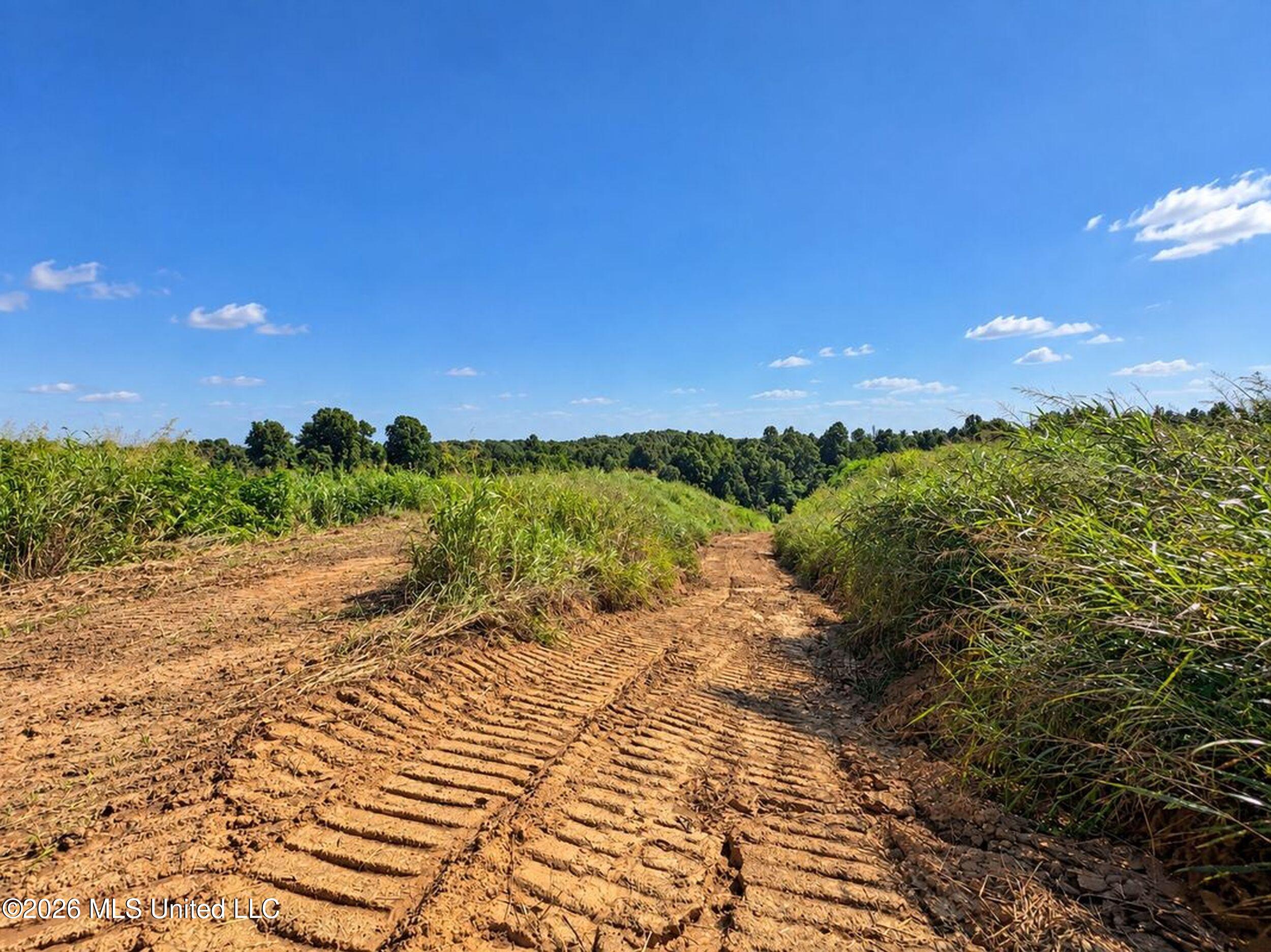173 Cascilla Road Holcomb, MS 38940 - Photo 52 of 67 3csrdg49