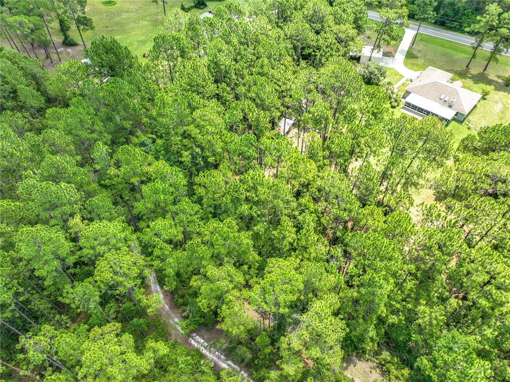 41821 Royal Trails Road Eustis, FL 32736 - Photo 67 of 67 Gallery Image 67