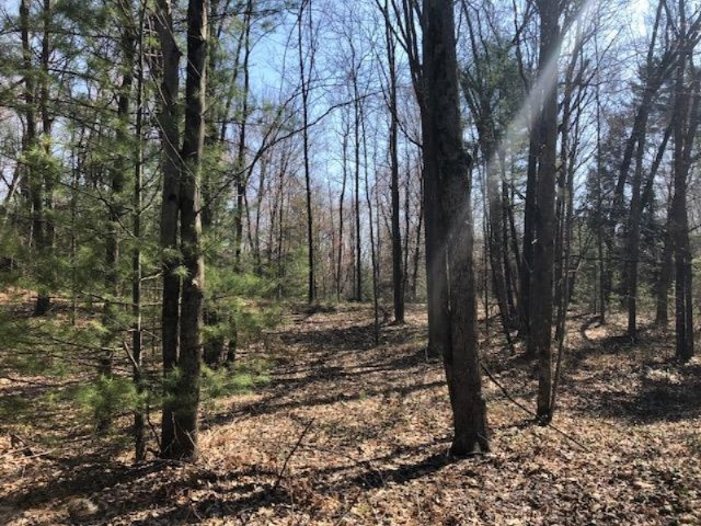 0 Anderson Road Muskegon, MI 49445 - Photo 2 of 3 2