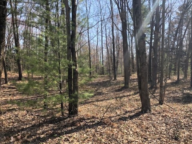 0 Anderson Road Muskegon, MI 49445 - Photo 3 of 3 3