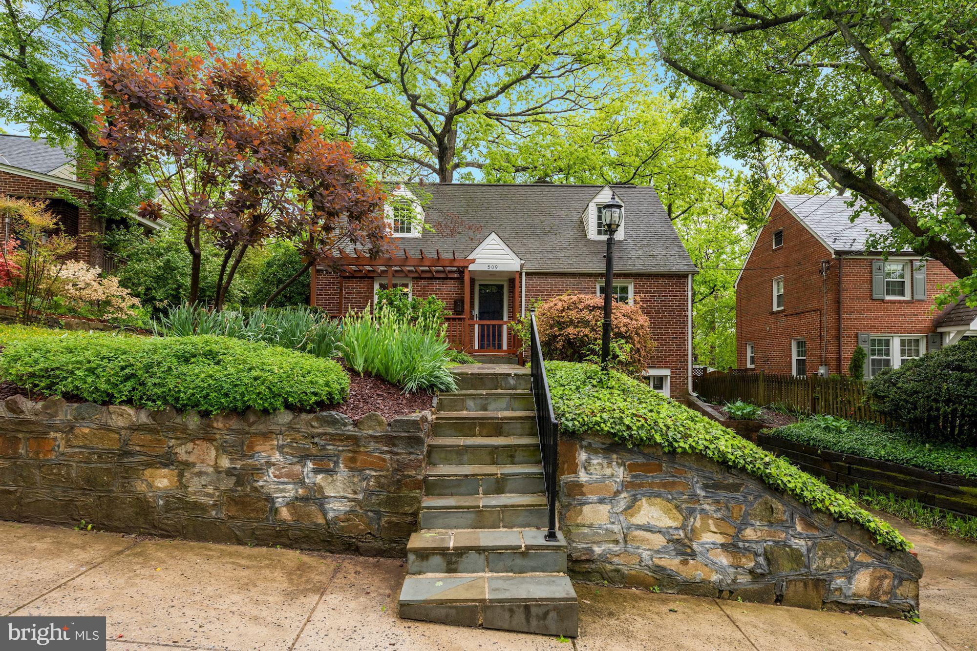 Cute Cape in Takoma Park