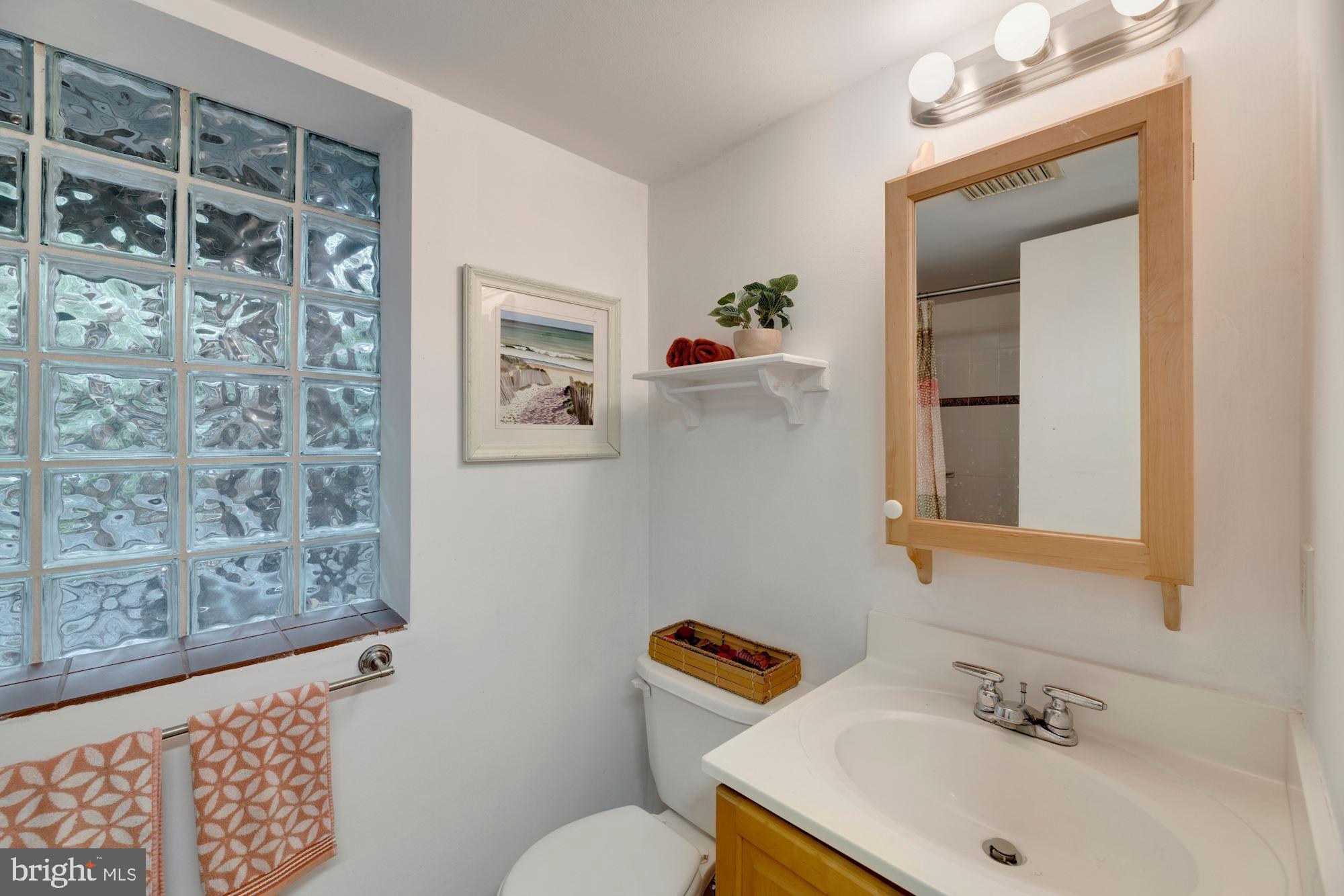 509 Margaret Drive Silver Spring, MD 20910 - Photo 35 of 41 Basement full bath