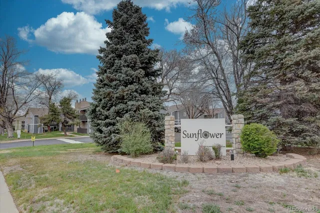 a view of a trees with a yard