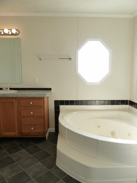 240 Oak Grove Road Sharps Chapel, TN 37866 - Photo 11 of 20 Master bath 1P1140269