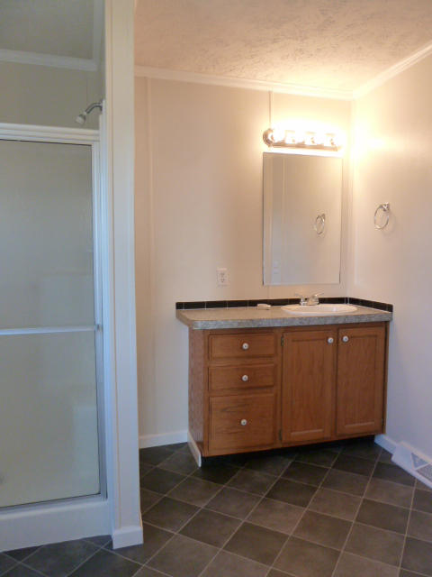 240 Oak Grove Road Sharps Chapel, TN 37866 - Photo 12 of 20 Master bath 2 P1140268