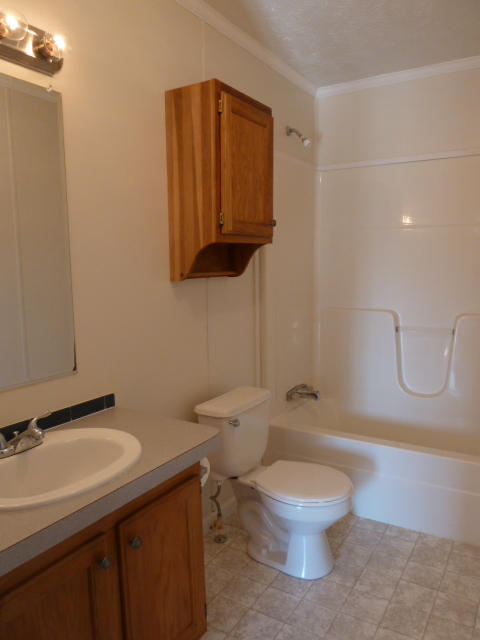 240 Oak Grove Road Sharps Chapel, TN 37866 - Photo 14 of 20 Hall bath P1140279