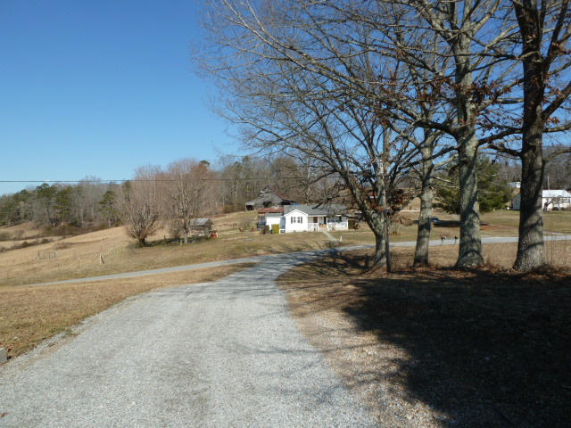 240 Oak Grove Road Sharps Chapel, TN 37866 - Photo 20 of 20 View from drivewayP1140288