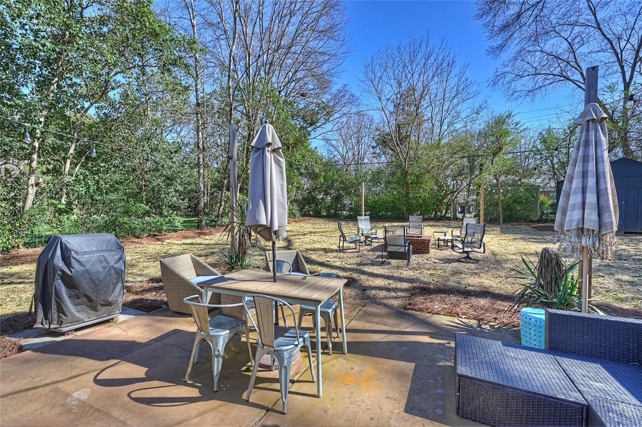 1114 Norland Road Charlotte, NC 28205 - Photo 28 of 36 a view of backyard with seating area and trees