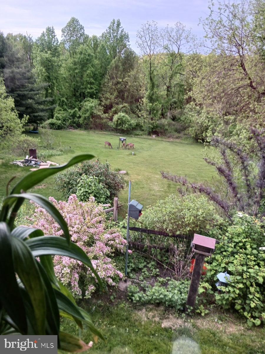 728 Mountain Road Boyertown, PA 19512 - Photo 2 of 26 a view of a park with large trees