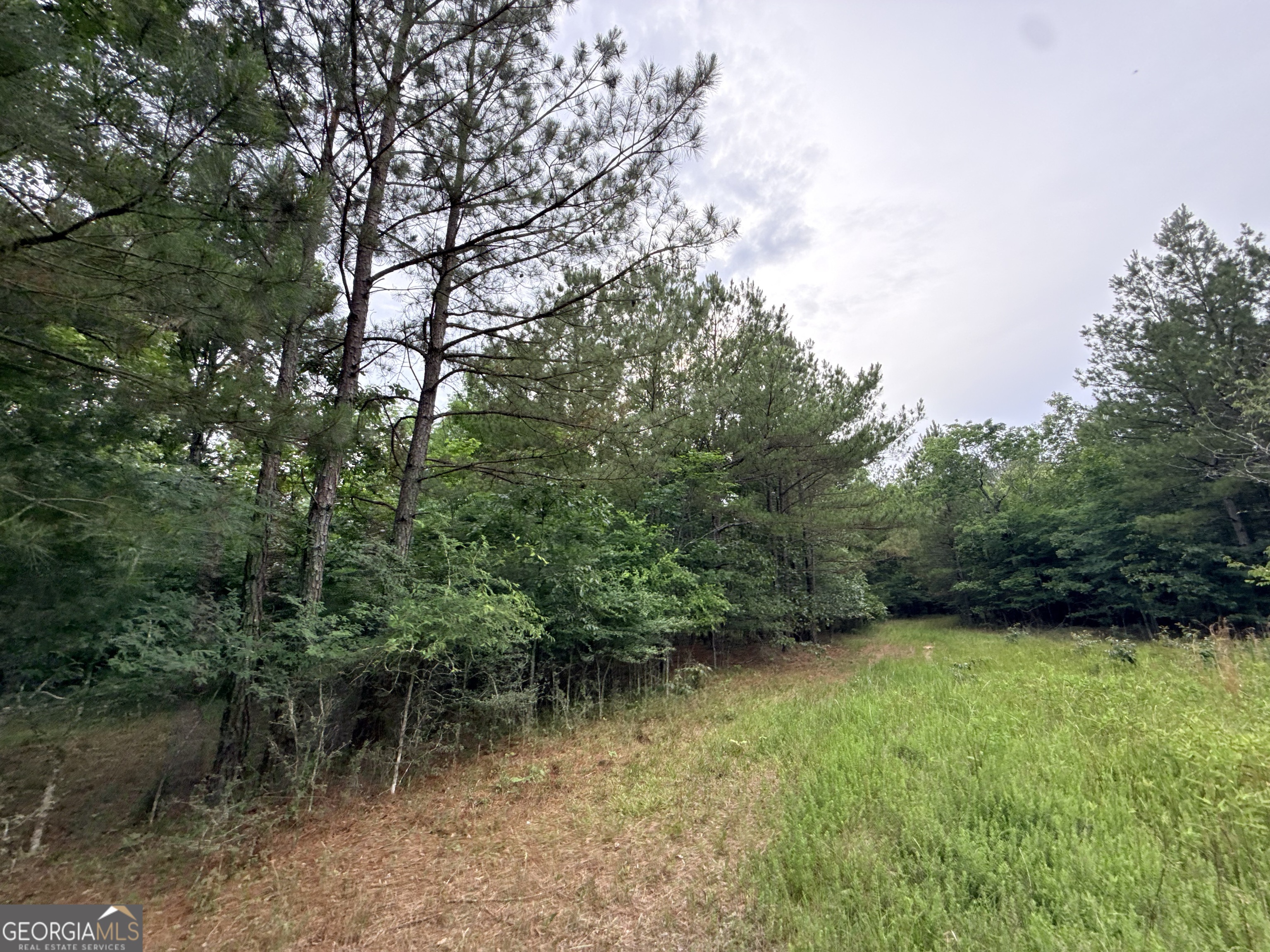 2 Bethesda Church Road Lexington, GA 30648 - Photo 9 of 66