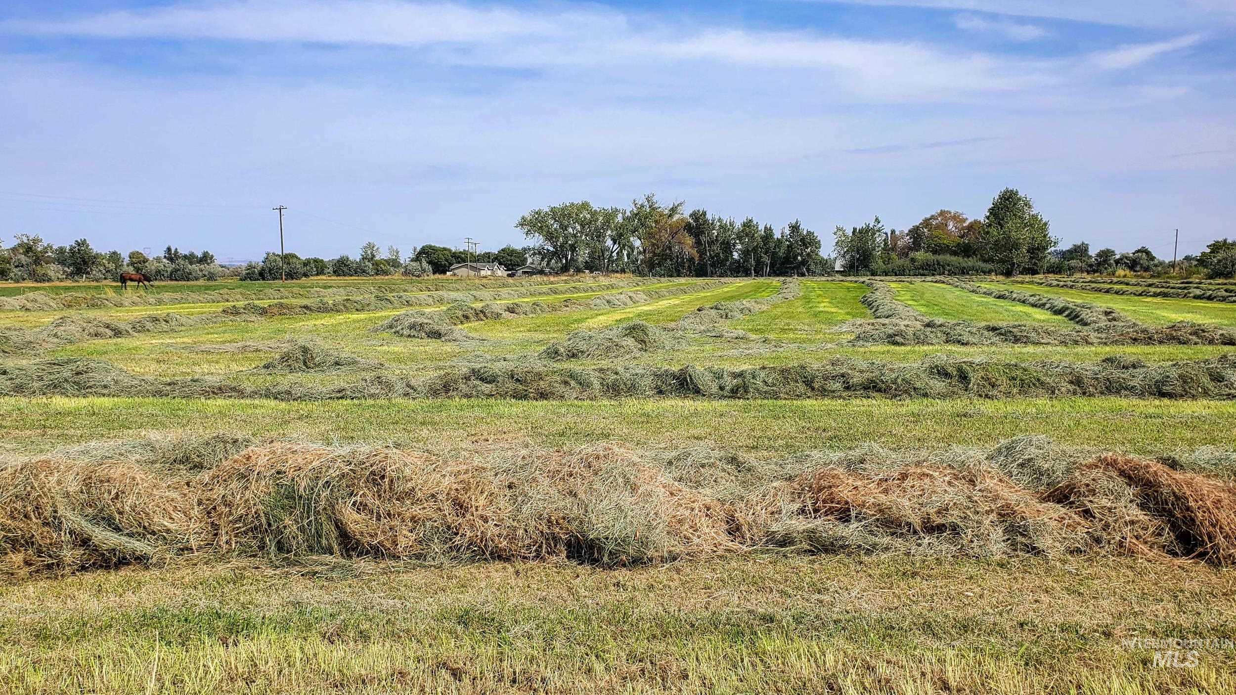 View of nature featuring rural landscape