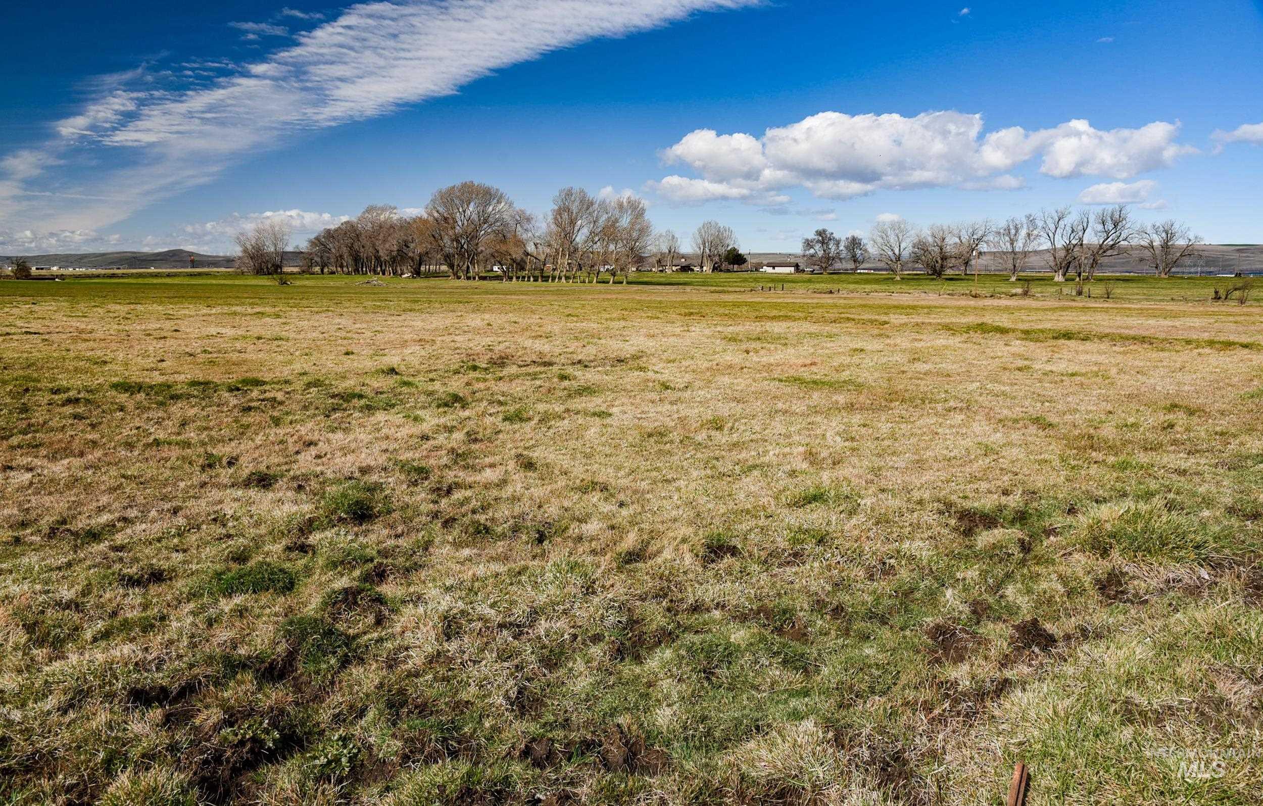 Undisclosed Address Boardman, OR 97818 - Photo 12 of 13 View of green lawn featuring a view of rural / pastoral area