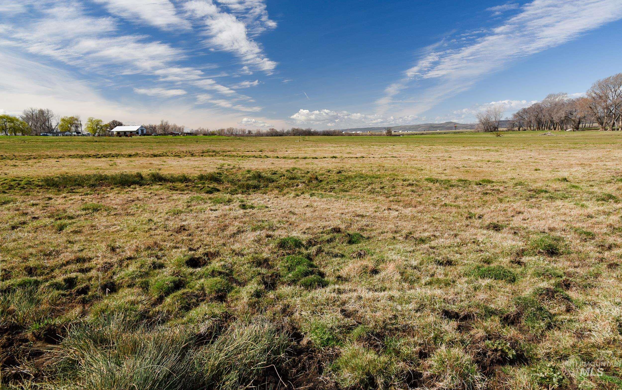 Undisclosed Address Boardman, OR 97818 - Photo 13 of 13 View of yard with a view of rural / pastoral area