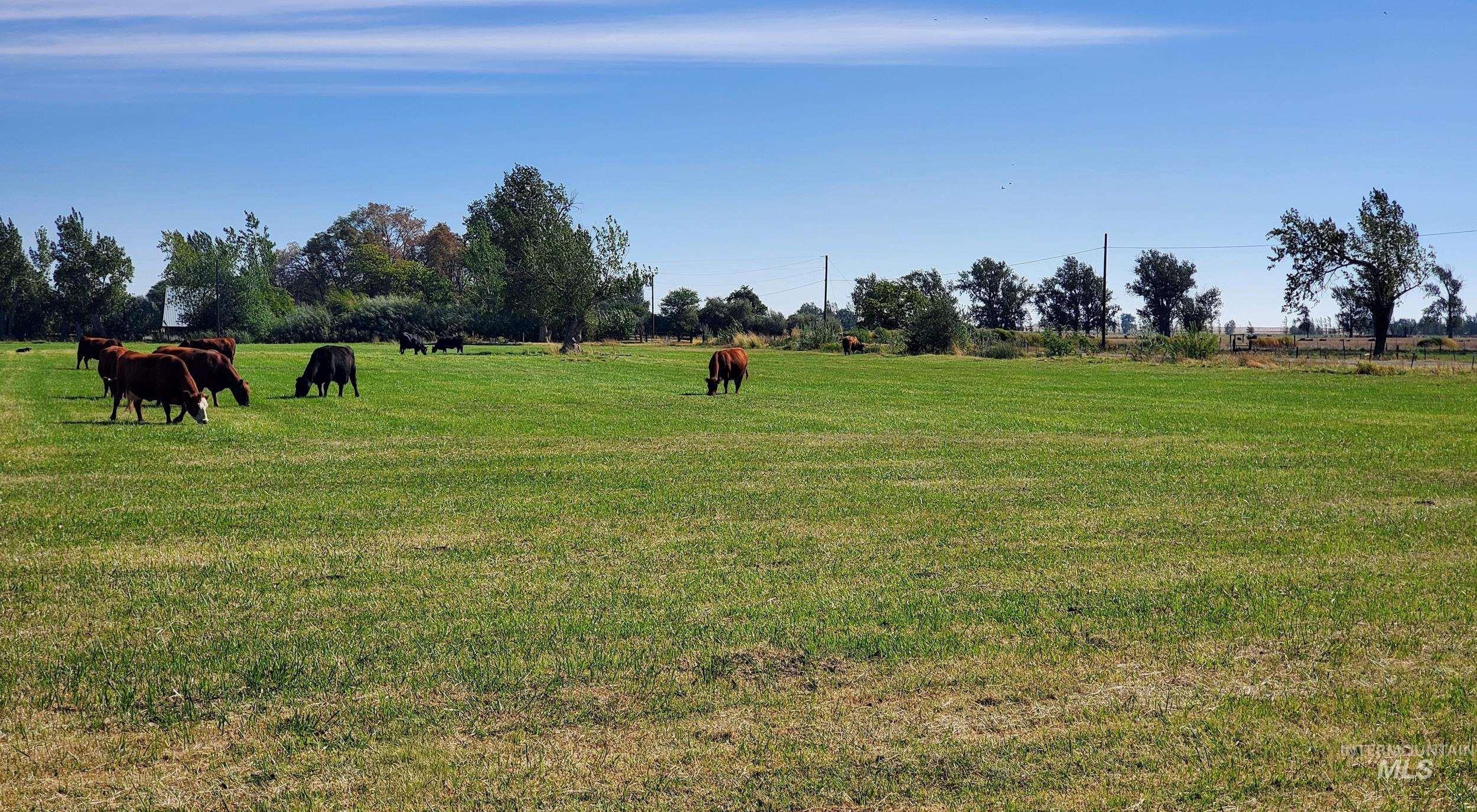 Undisclosed Address Boardman, OR 97818 - Photo 4 of 13 View of grassy yard with a view of rural / pastoral area