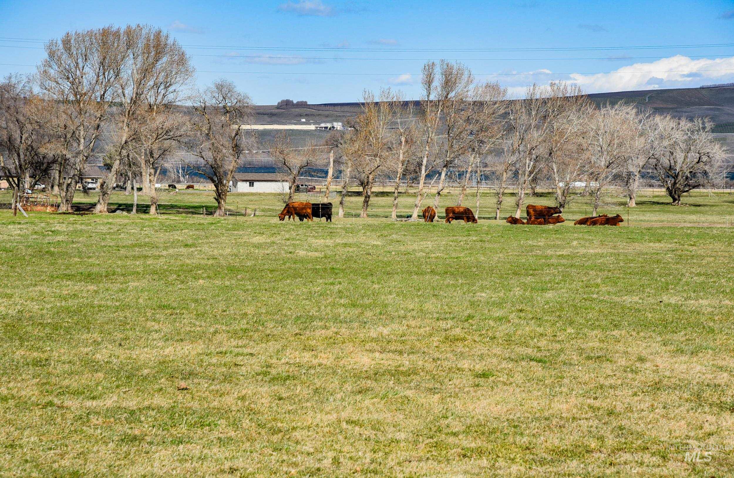 Undisclosed Address Boardman, OR 97818 - Photo 9 of 13 View of green lawn featuring a view of rural / pastoral area