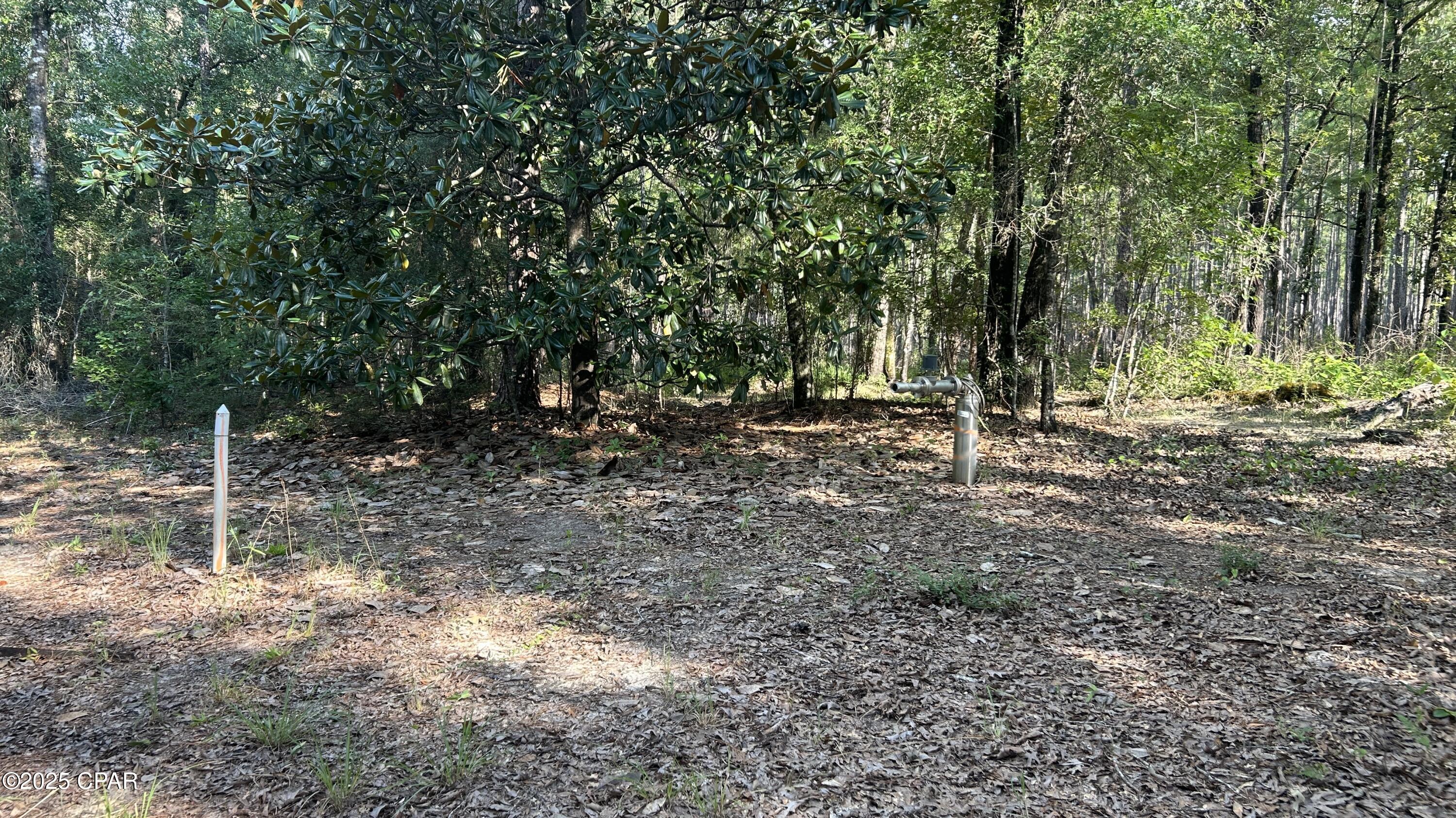4264 Cleveland Road Baker, FL 32531 - Photo 14 of 36