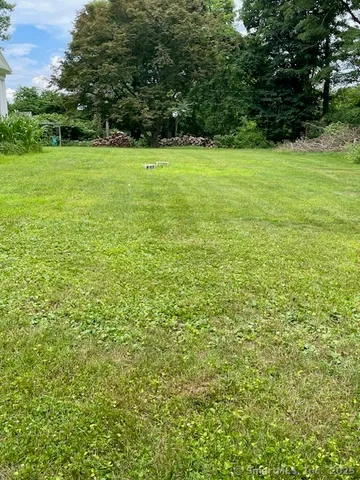 a view of yard with green space