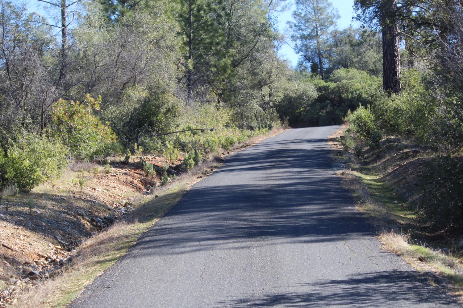 0 Fricot City Road Mountain Ranch, CA 95249 - Photo 3 of 9