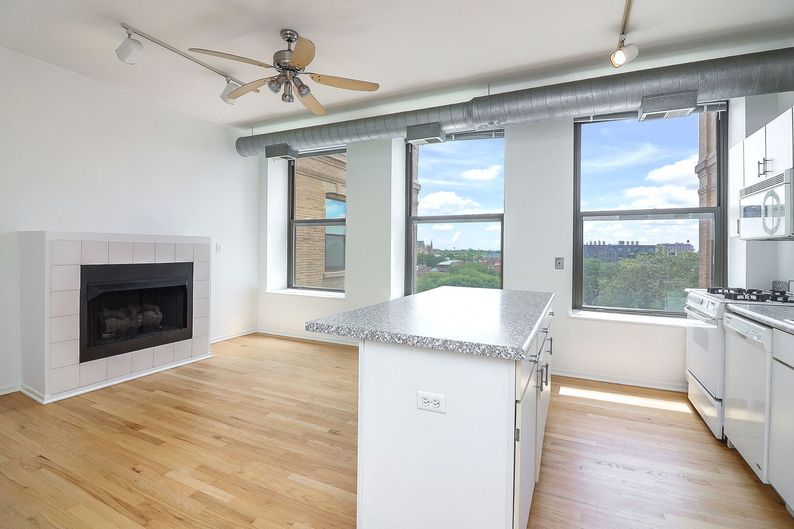 811 South Lytle Street, Unit 514 Chicago, IL 60607 - Photo 9 of 17 Gallery Image 9