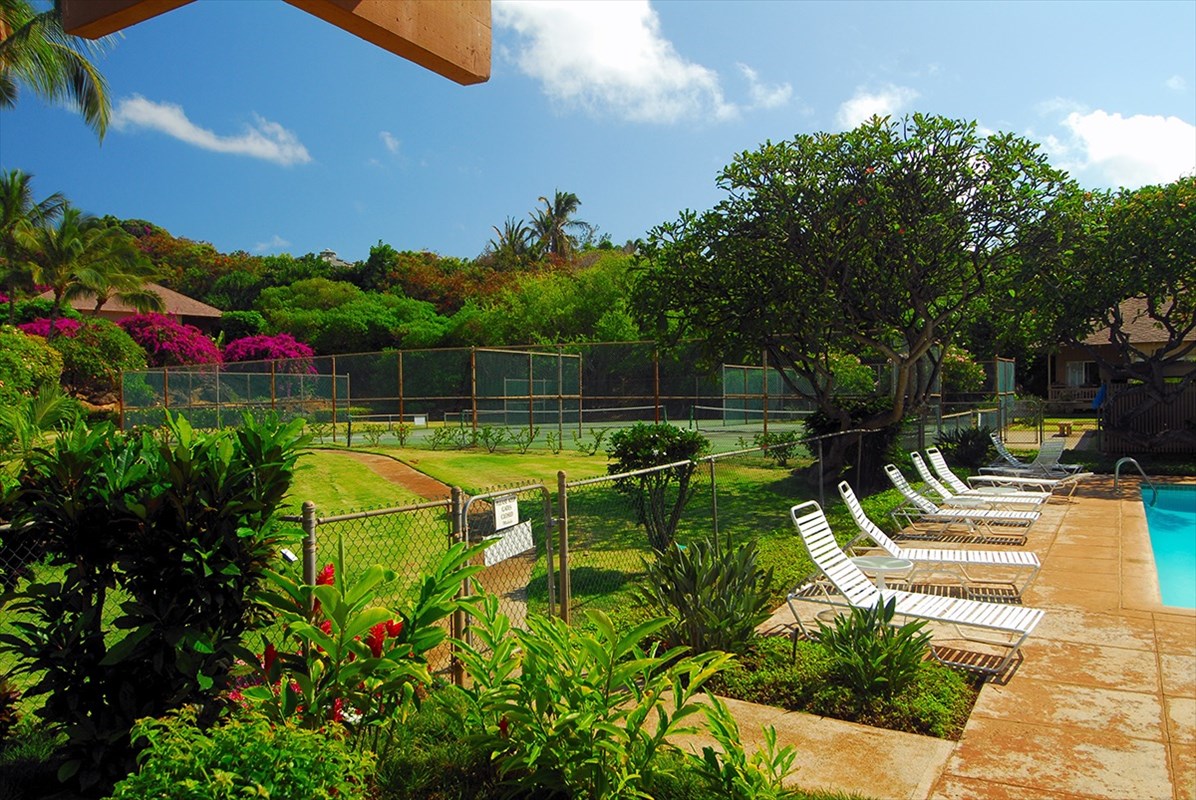 2330 Ho'ohu Road, Unit 20 Koloa, HI 96756 - Photo 22 of 22 Gallery Image 22